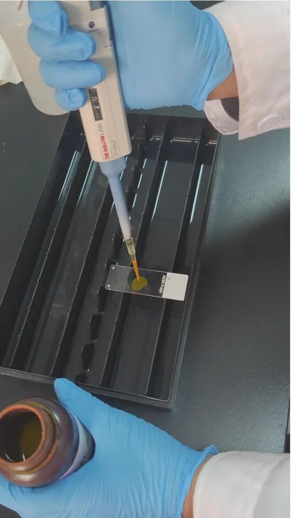 [2025 07 18] 医疗器械生物学评价服务首选mdl 10