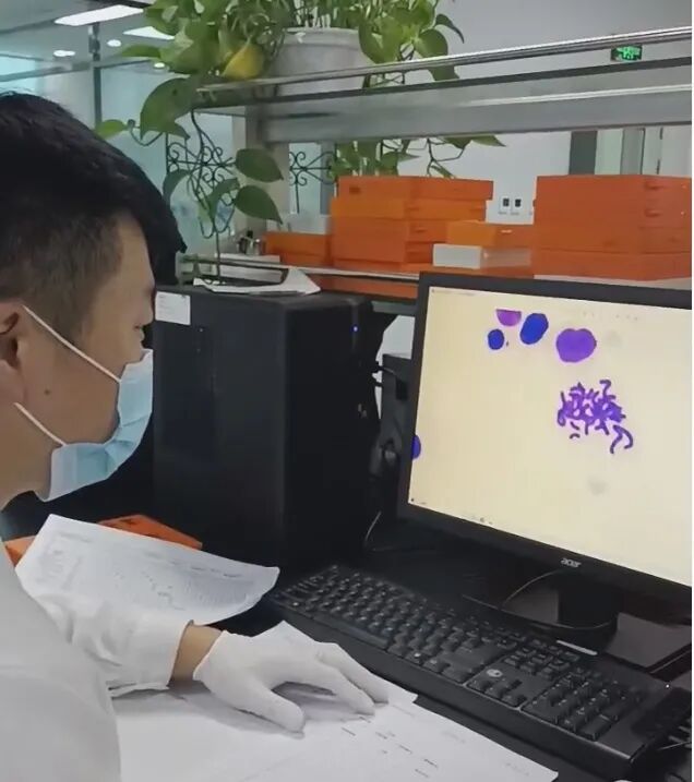 [2025 07 18] 医疗器械生物学评价服务首选mdl 12