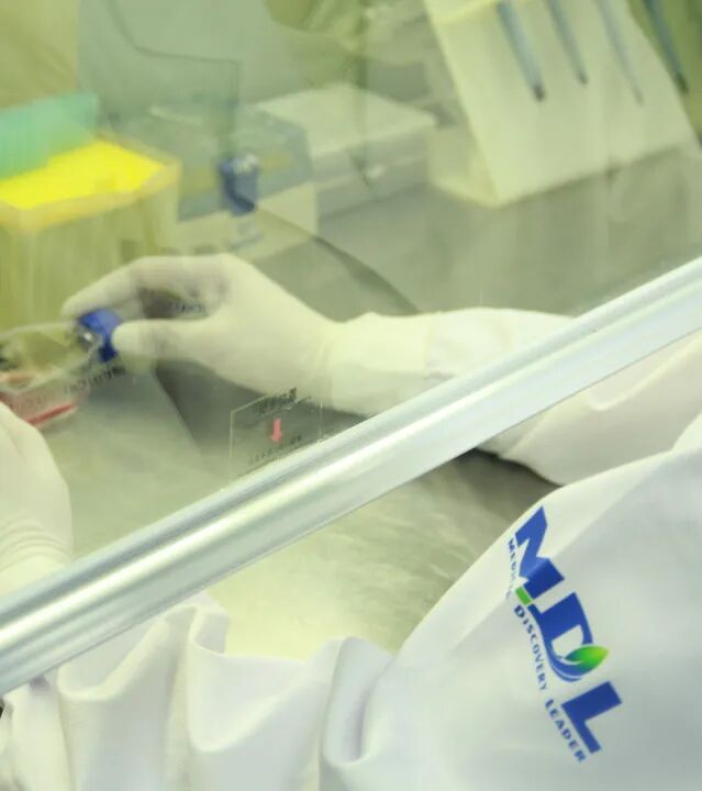 [2025 07 18] 医疗器械生物学评价服务首选mdl 13