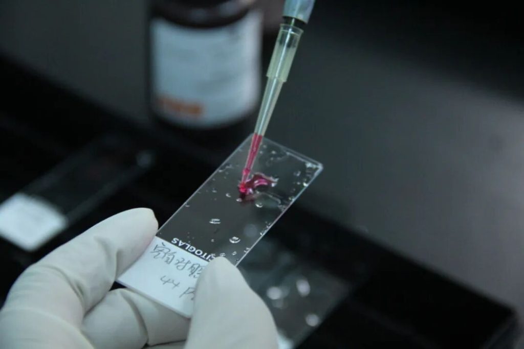 [2025 07 18] 医疗器械生物学评价服务首选mdl 17