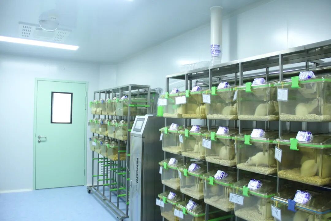 [2025 07 18] 医疗器械生物学评价服务首选mdl 6