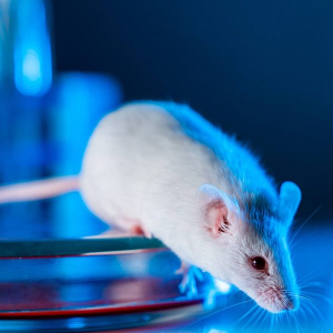 Orthopedic, Injury & Tissue Repair Animal Models Detailed Models