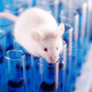 CNS & Neuropsychiatric Animal Models