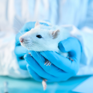 Inflammation, Autoimmune & Allergy Animal Models