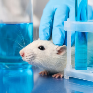 Respiratory & Pulmonary Animal Models