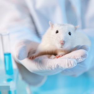 Digestive & Hepatobiliary Animal Models